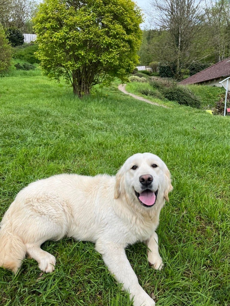 Publication : Du rivage des mille etangs Auteur : Christelle 06 juillet 2023