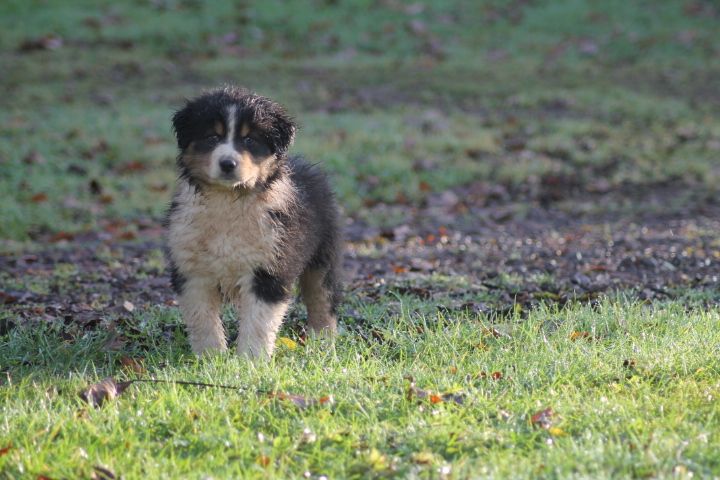 Publication : Du rivage des mille etangs Auteur : Christelle