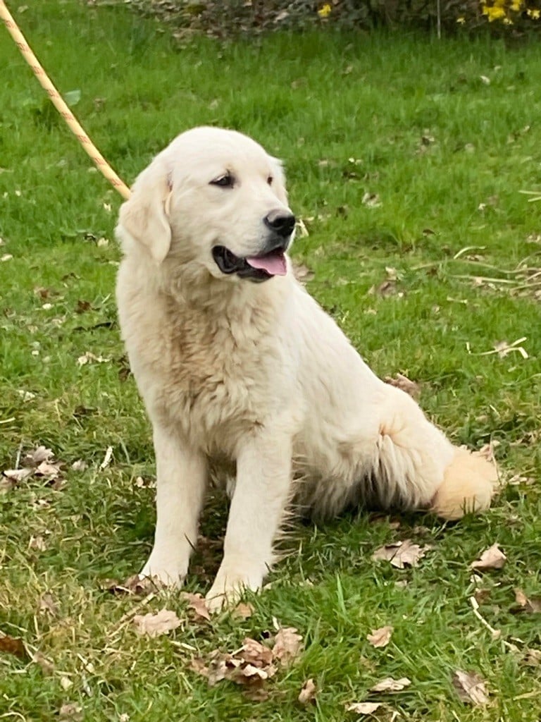 Publication : Du rivage des mille etangs