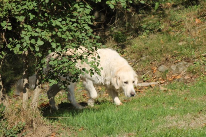 Publication : Du rivage des mille etangs Auteur : Christelle