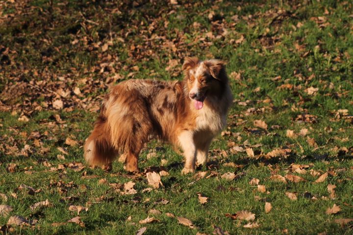 Publication : Du rivage des mille etangs