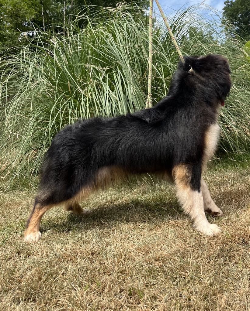 V' flash Du rivage des mille etangs