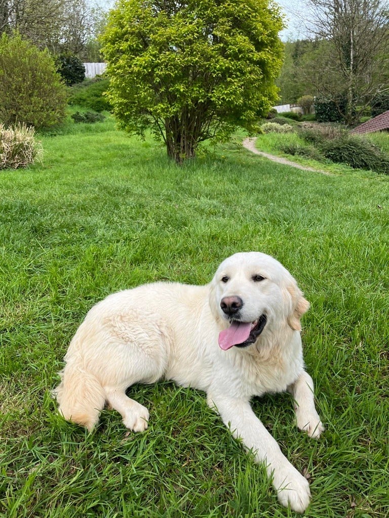 Publication : Du rivage des mille etangs Auteur : Christelle 06 juillet 2023