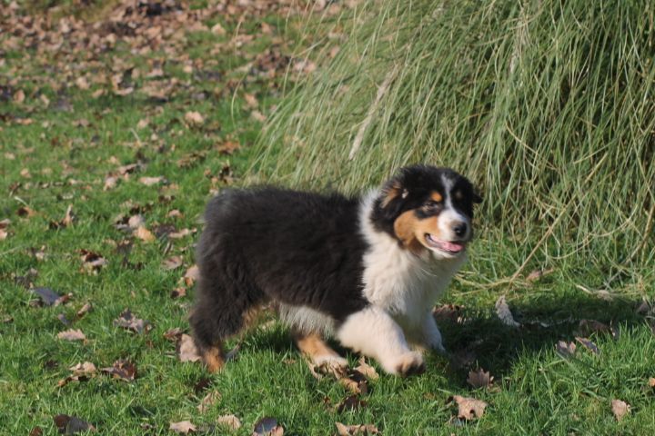 Publication : Du rivage des mille etangs Auteur : Christelle