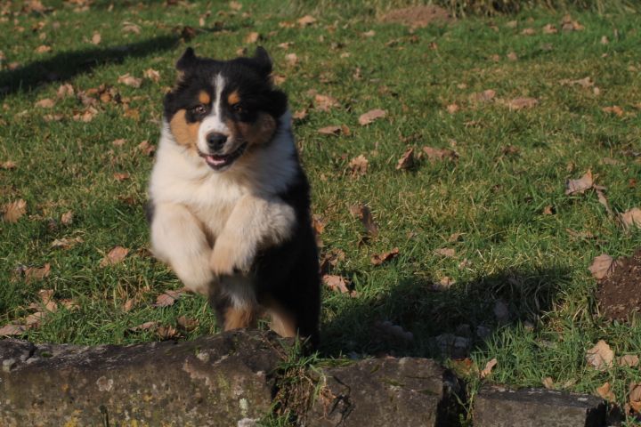 Publication : Du rivage des mille etangs Auteur : Christelle