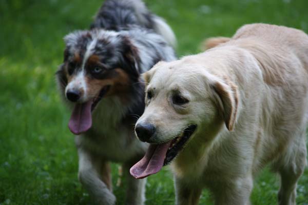 C'kiona Du rivage des mille etangs