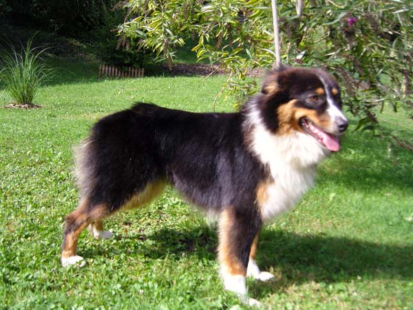 California dream Du rivage des mille etangs