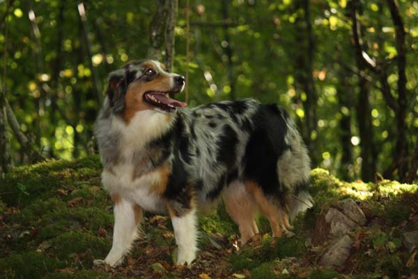 C'kiona Du rivage des mille etangs