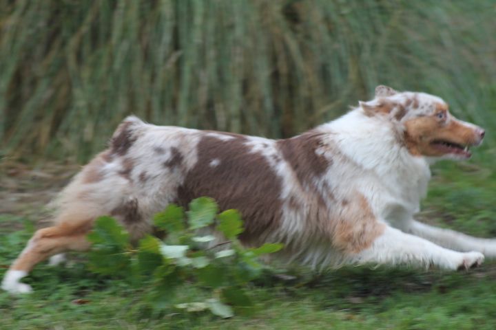 Publication : Du rivage des mille etangs Auteur : Christelle Sarrazin