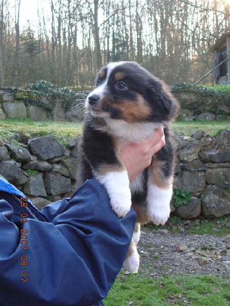 California dream Du rivage des mille etangs