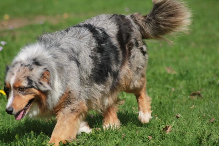 Publication : Du rivage des mille etangs Auteur : Christelle