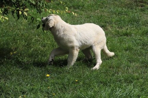 Publication : Du rivage des mille etangs