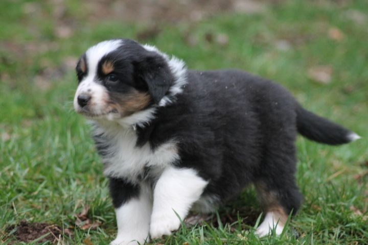 Publication : Du rivage des mille etangs Auteur : Christelle Sarrazin