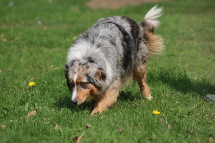 Publication : Du rivage des mille etangs Auteur : Christelle