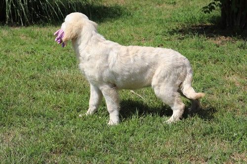 Publication : Du rivage des mille etangs Auteur : Christelle 06 juillet 2023