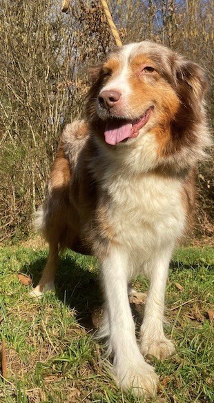 Publication : Du rivage des mille etangs