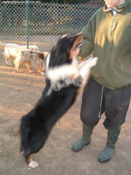 Tara blue Du rivage des mille etangs