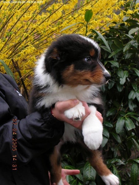 Atlanta Du rivage des mille etangs - 1ère Excellent. Confirmée Exc.