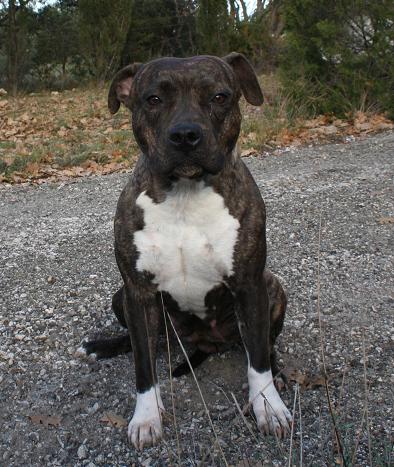 Publication : Du treizieme ange