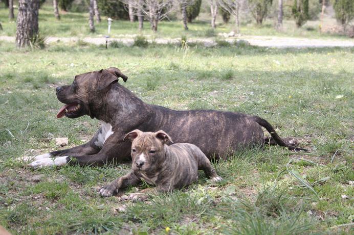 Publication : Du treizieme ange