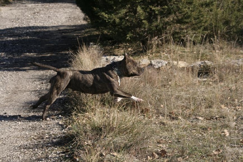 Publication : Du treizieme ange