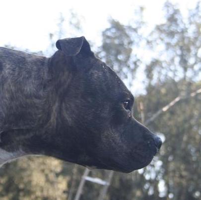 Publication : Du treizieme ange