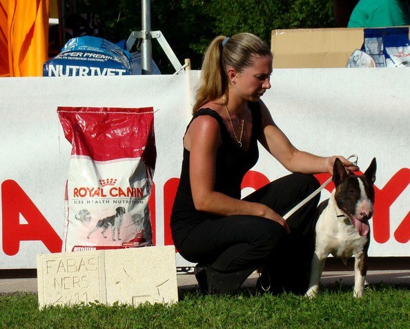 lafenice Lindoro almaviva - 1er Excellent Meilleur Mâle Meilleur de Race