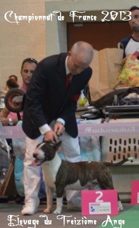 lafenice Lindoro almaviva - 2ème TRES BON