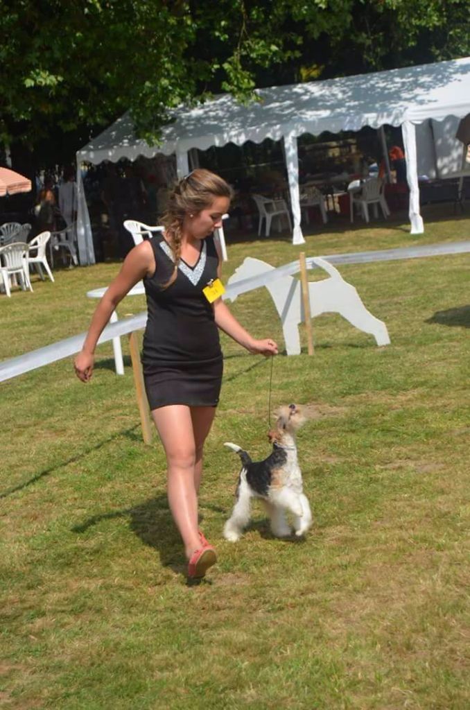 CH. Electric-girl Du clos des amoureux