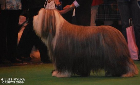 Publication : de Chester Auteur : Gilles Mylka