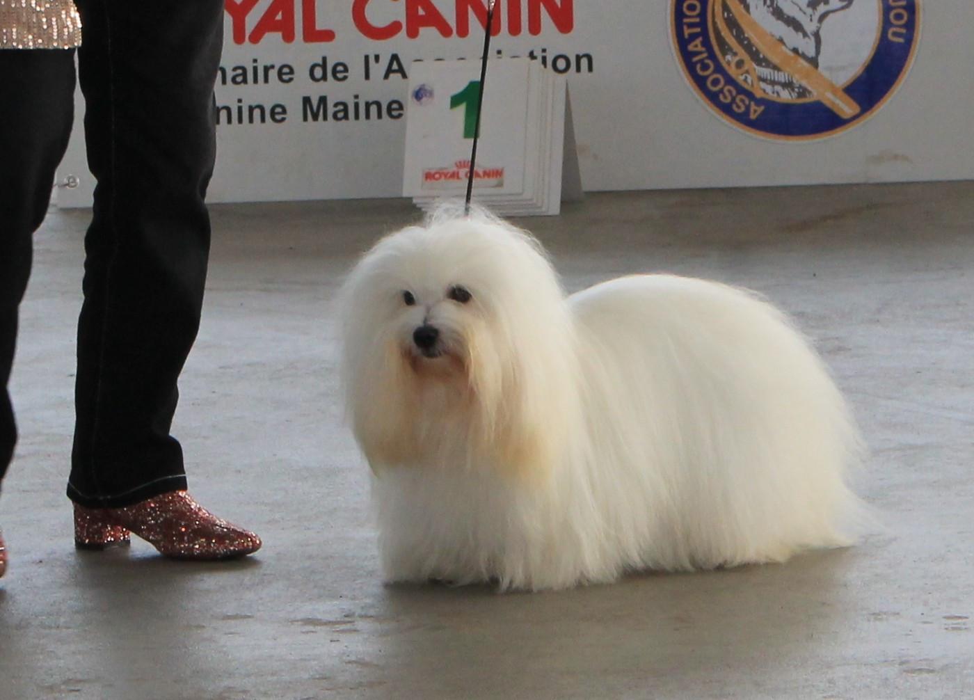 CH. UNA STORIA BELLA du Castel de la Roche aux Fées