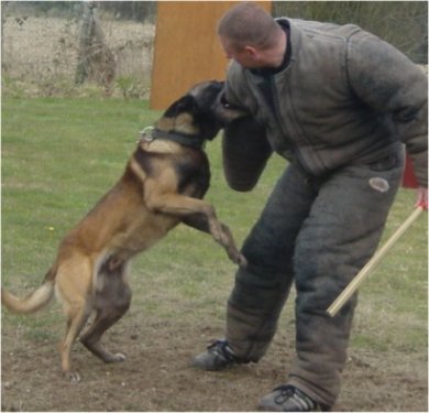 Publication : de la lumineuse Maestria Auteur : Kathy