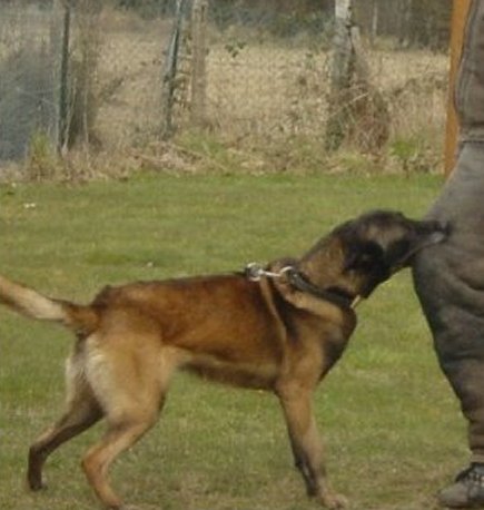 Publication : de la lumineuse Maestria Auteur : Kathy