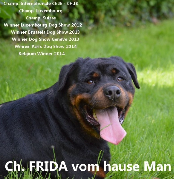 Publication : des Rotts de la Baronnie Auteur : La Baronnie