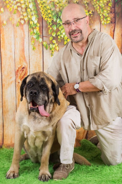 CH. Cybile De la louvagerie