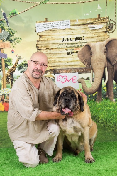 CH. Cybile De la louvagerie