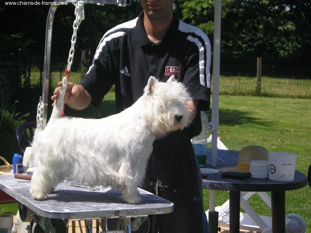 Publication : Westwilscot's