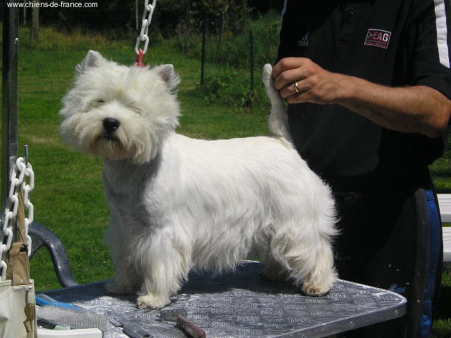 Publication : Westwilscot's