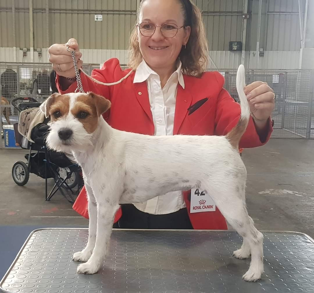 Publication : of jack and co.