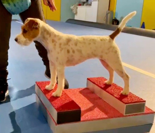 Publication : of jack and co.