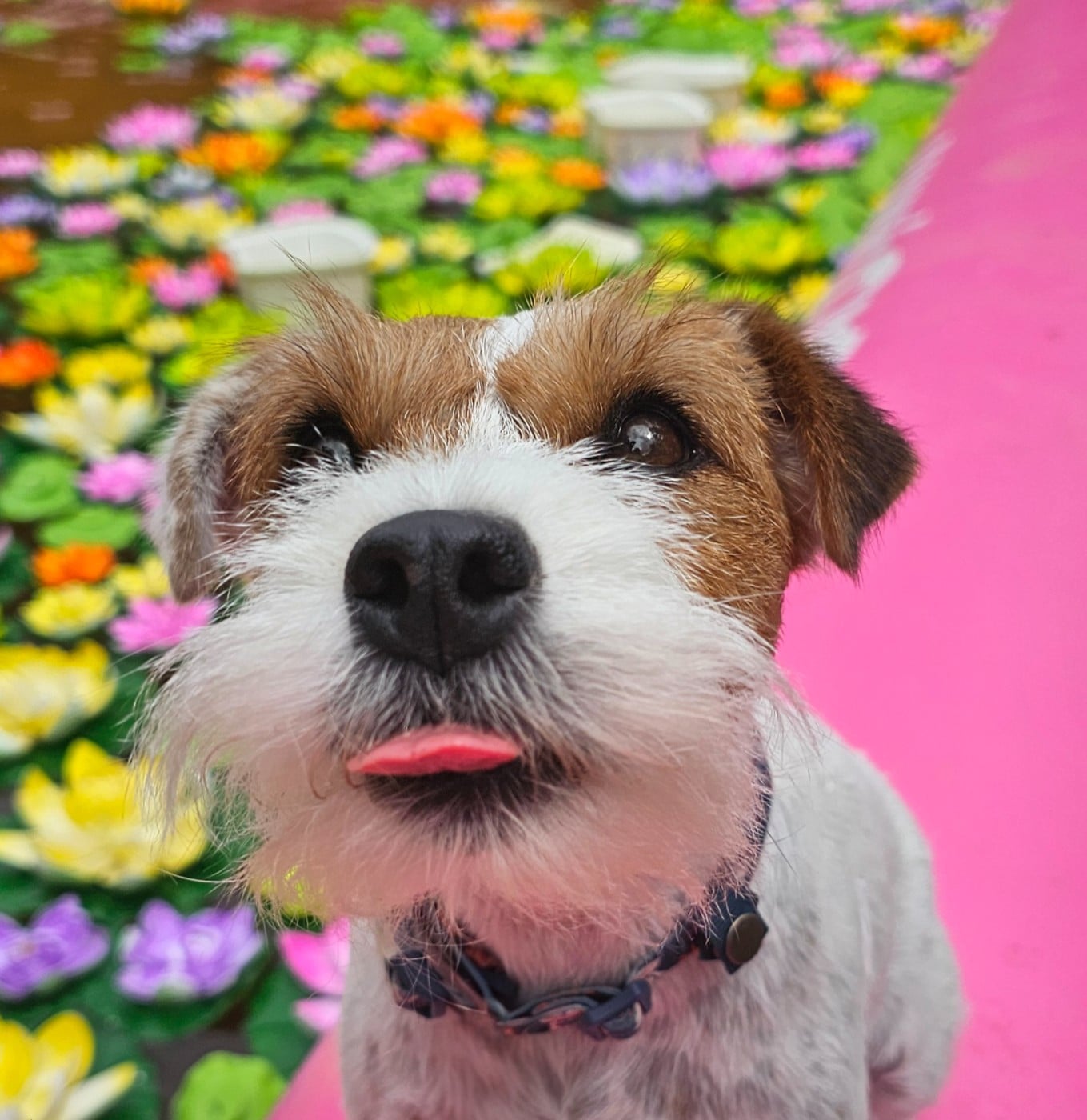 Publication : of jack and co.