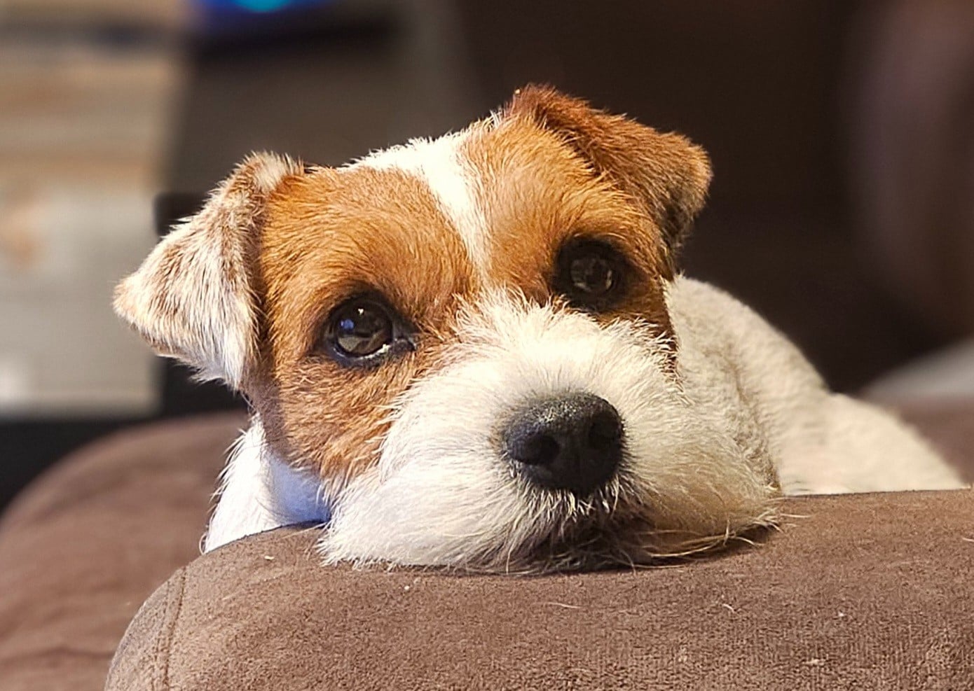 Publication : of jack and co.