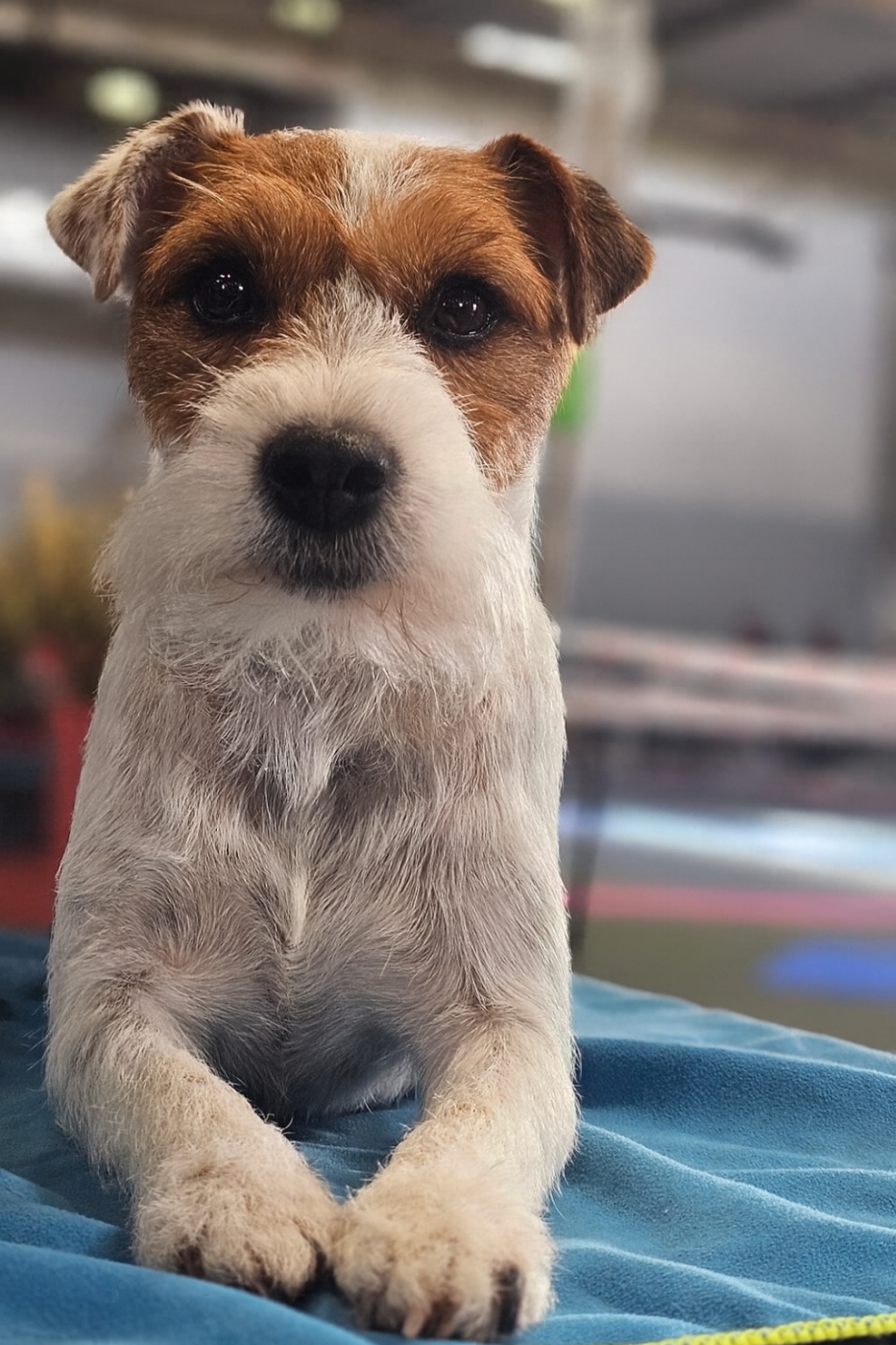 Publication : of jack and co.