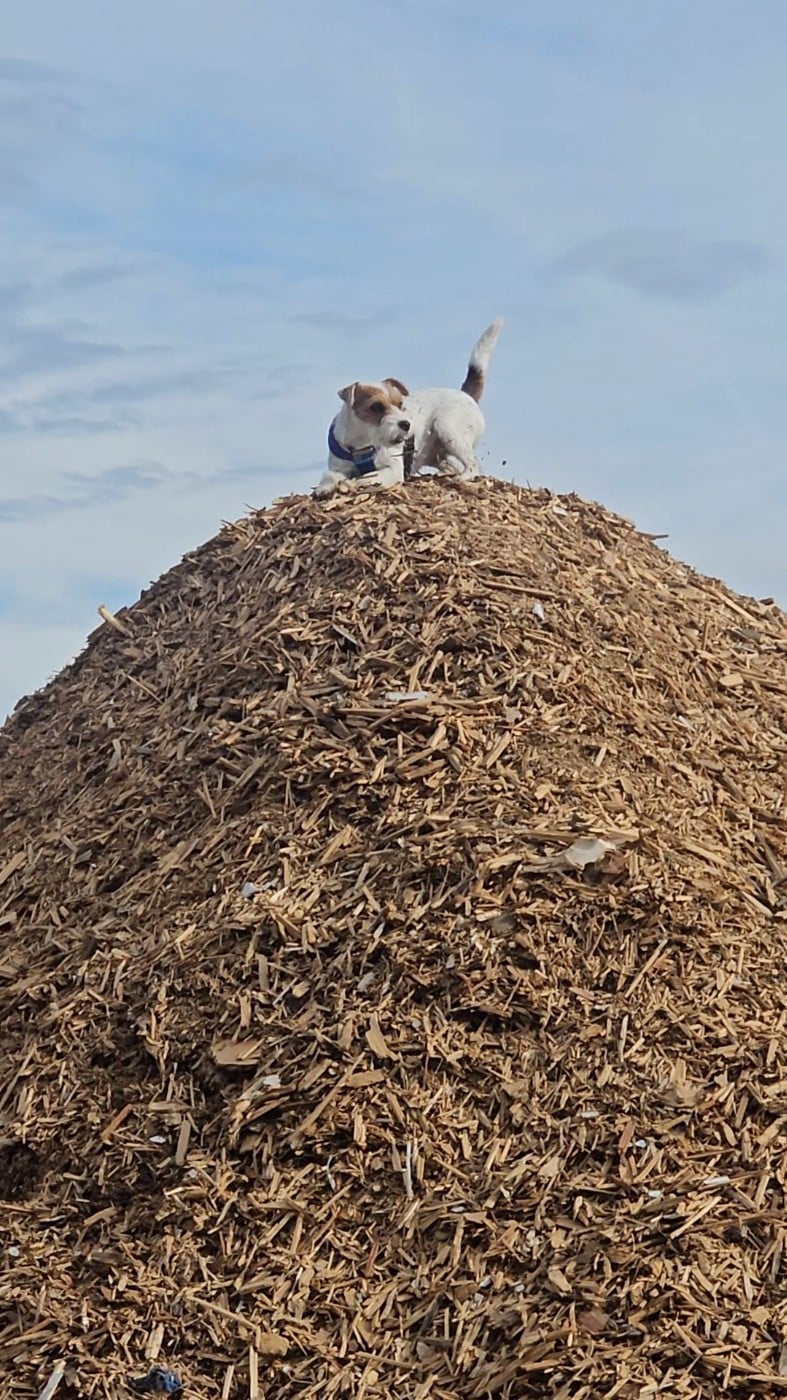 Publication : of jack and co.