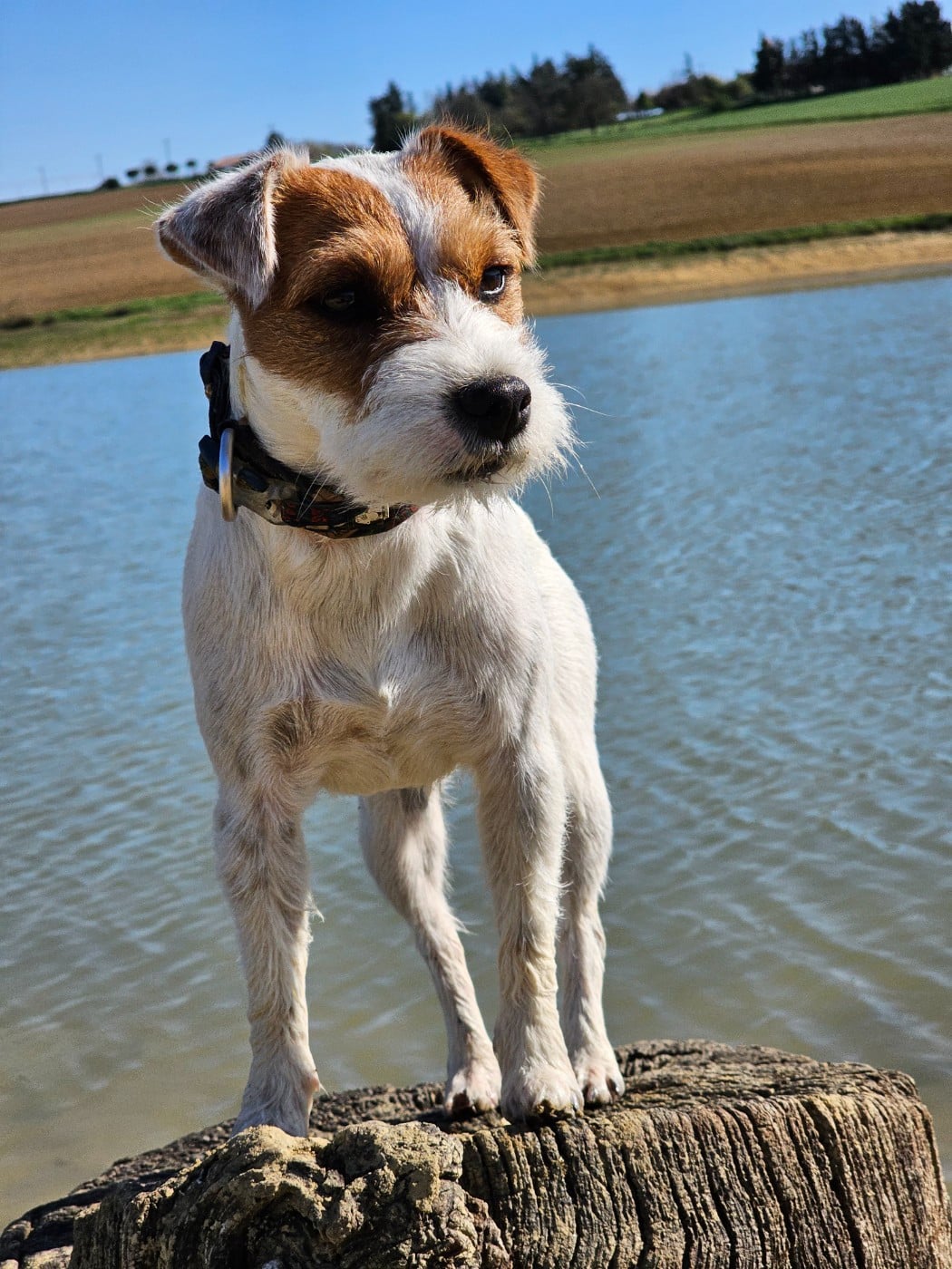 Publication : of jack and co.