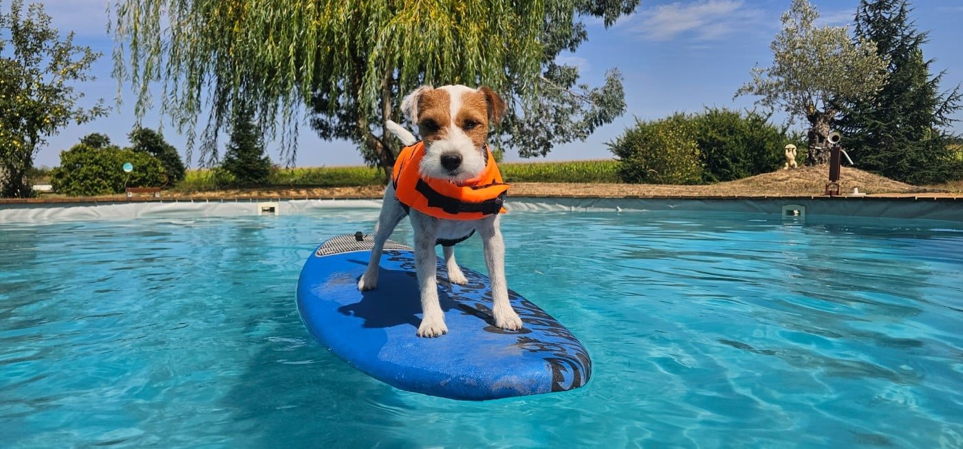 Publication : of jack and co.