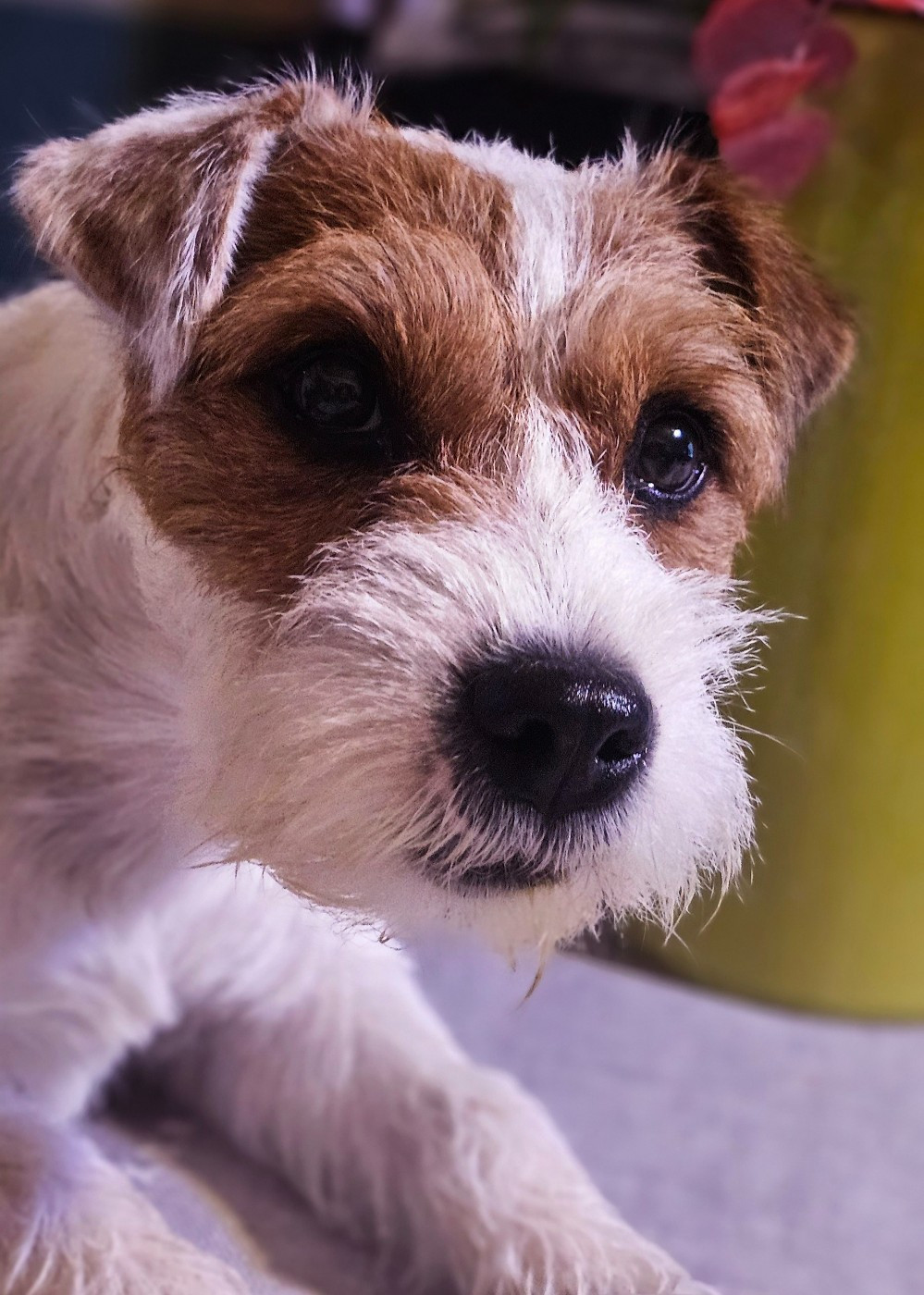 Publication : of jack and co.