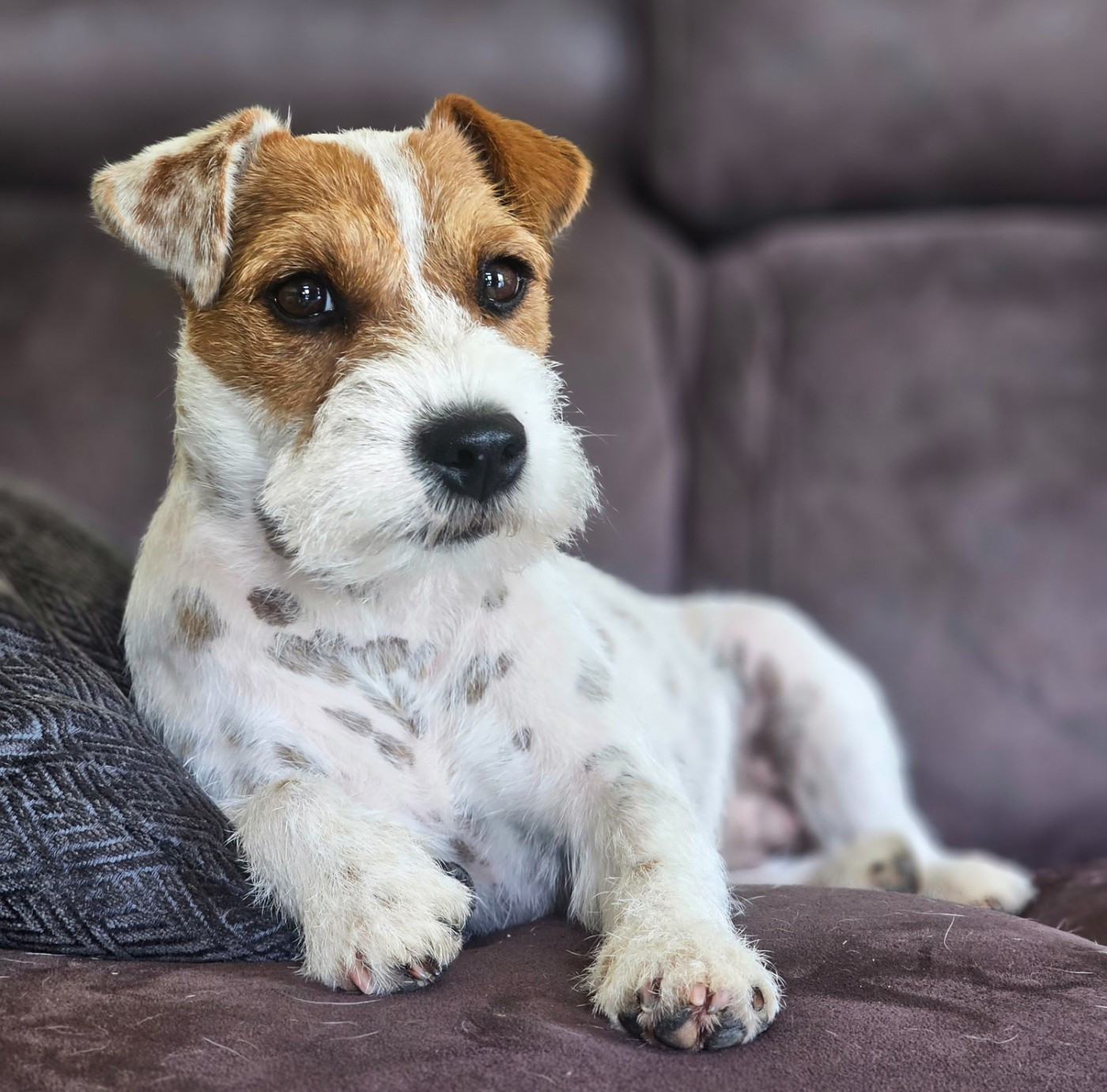 Publication : of jack and co.