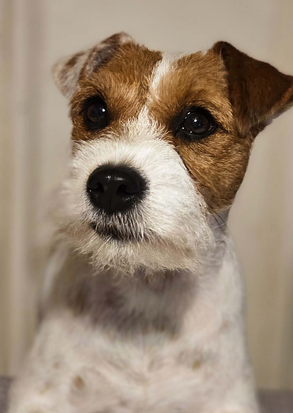 Publication : of jack and co.