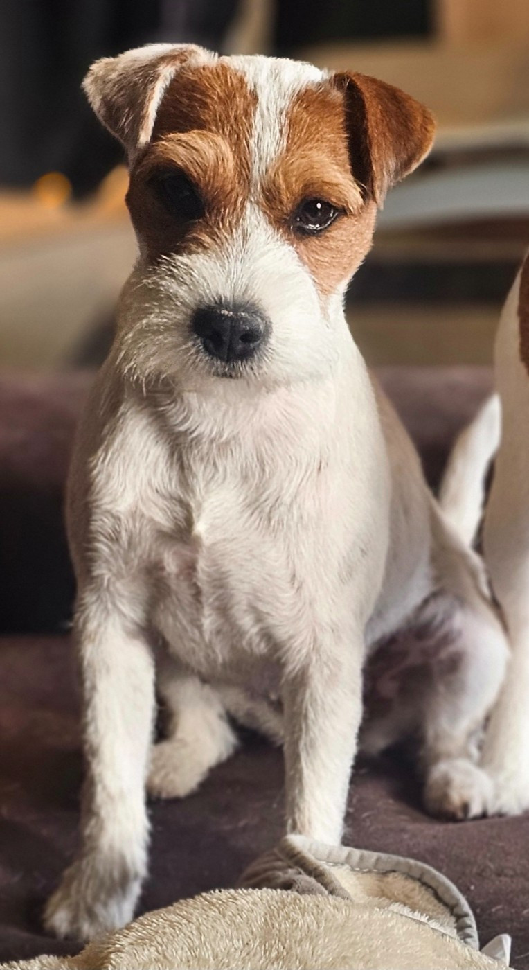 Publication : of jack and co.